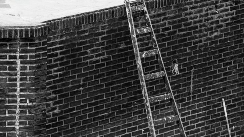 How to Repair a Damaged Roof: A Complete Guide for Property Owners